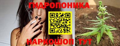 винт Можга
