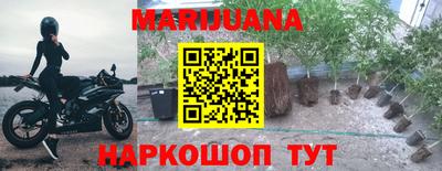 гидра Моздок