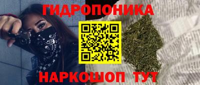 гидра Моздок