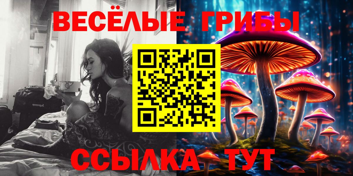 Галлюциногенные грибы MAGIC MUSHROOMS  Вход с VPN  Псилоцибиновые грибы прущие грибы  Тутаев 