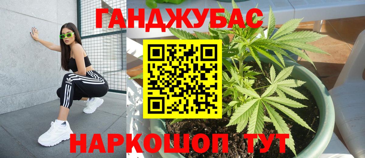 Канабис гибрид Тутаев